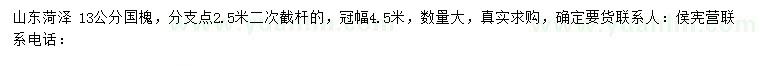 求購13公分國槐