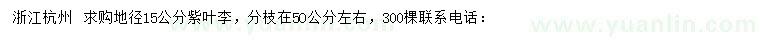 求購地徑15公分紫葉李