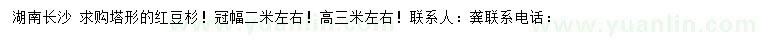 求購(gòu)冠2米左右紅豆杉