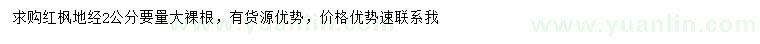 求購地徑2公分紅楓