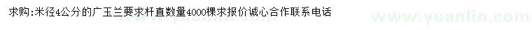 求購米徑4公分廣玉蘭