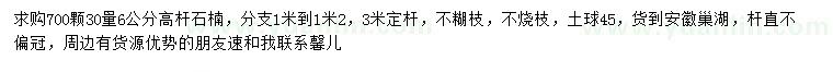 求購30量6公分高桿石楠