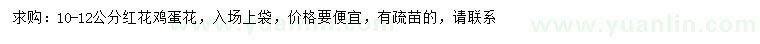 求購10-12公分紅花雞蛋花