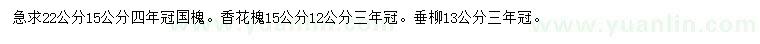 求購國槐、香花槐、垂柳