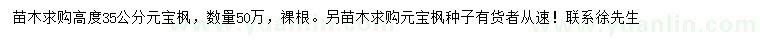 求購(gòu)高度35公分元寶楓