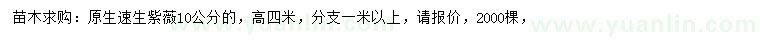 求購10公分速生紫薇