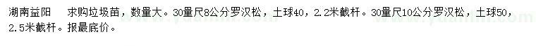 求購30量尺8、10公分羅漢松