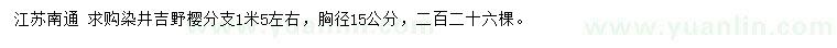 求購胸徑15公分染井吉野櫻