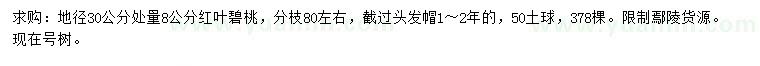 求購地徑30公分處量8公分紅葉碧桃