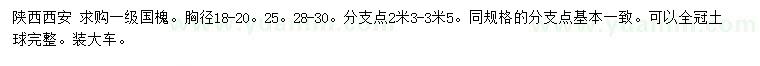 求購(gòu)胸徑18-20、25、28-30公分國(guó)槐