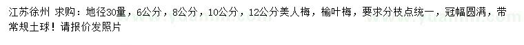 求購地徑30量6、8、10、12公分美人梅、榆葉梅