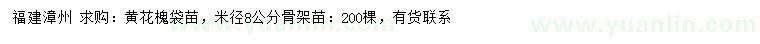 求購米徑8公分黃花槐