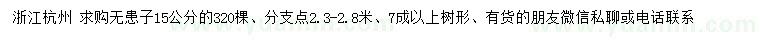 求購15公分無患子