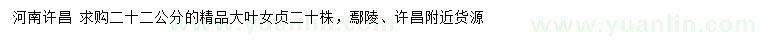 求購22公分精品大葉女貞