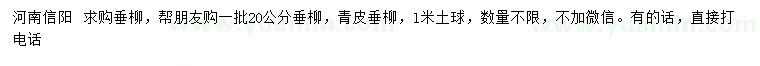 求購20公分垂柳