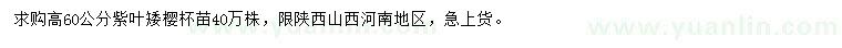 求購(gòu)高60公分紫葉矮櫻
