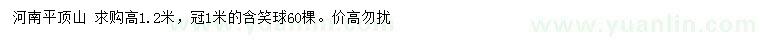 求購(gòu)高1.2米含笑球