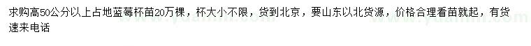 求購高50公分以上藍(lán)莓