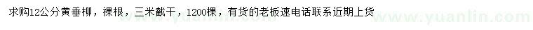求購12公分黃垂柳