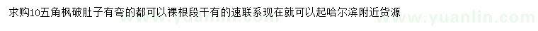 求購10公分五角楓