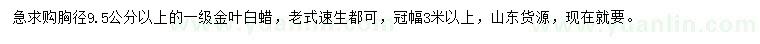 求購(gòu)胸徑9.5公分以上金葉白蠟