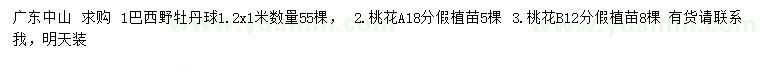 求購1.2x1米巴西野牡丹球、12、18公分桃花假植苗
