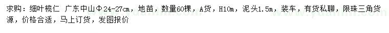 求購胸徑24-27公分細葉欖仁