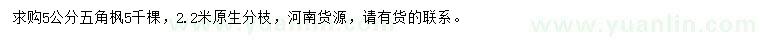 求購5公分五角楓
