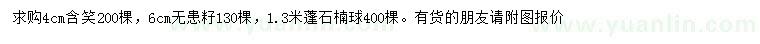 求購含笑、無患籽、石楠球