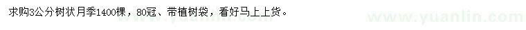 求購3公分樹狀月季