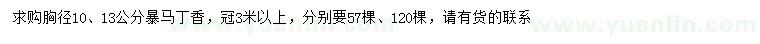 求購胸徑10、13公分暴馬丁香