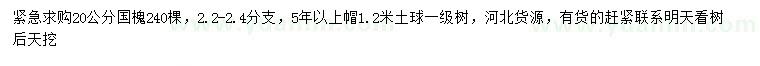 求購(gòu)20公分國(guó)槐