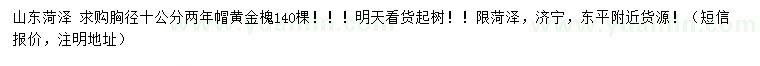 求購胸徑10公分黃金槐