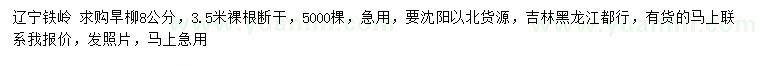 求購8公分旱柳
