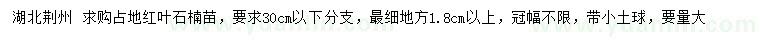 求購(gòu)紅葉石楠苗