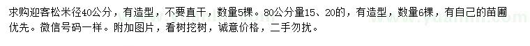 求購米徑40公分、80量15、20公分迎客松