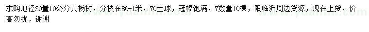 求購地徑30量10公分黃楊樹