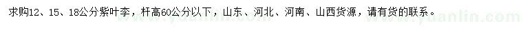 求購12、15、18公分紫葉李