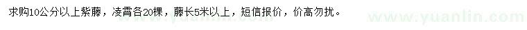 求購10公分以上紫藤、凌霄
