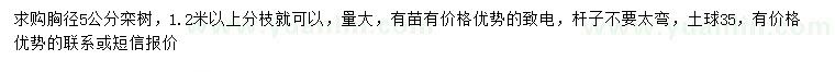 求購(gòu)胸徑5公分欒樹(shù)