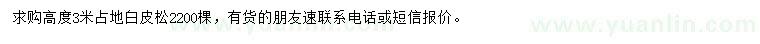 求購(gòu)高度3米占地白皮松