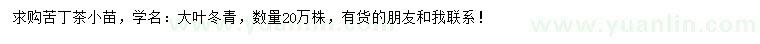 求購苦丁茶小苗