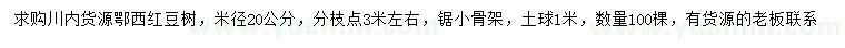 求購米徑20公分紅豆樹