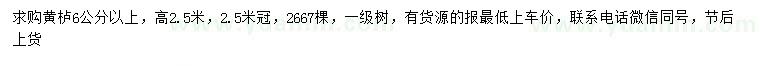 求購6公分以上黃櫨