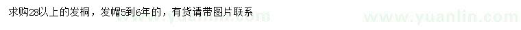 求購28公分以上法桐