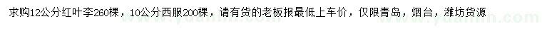 求購(gòu)12公分紅葉李、10公分西府