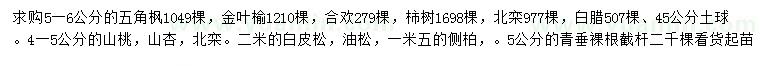 求購五角楓、金葉榆、合歡等