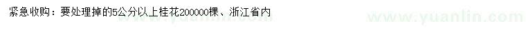 求購5公分以上桂花