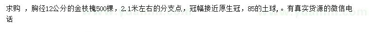 求購胸徑12公分金枝槐