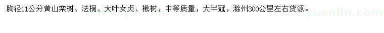 求購黃山欒樹、法桐、大葉女貞等